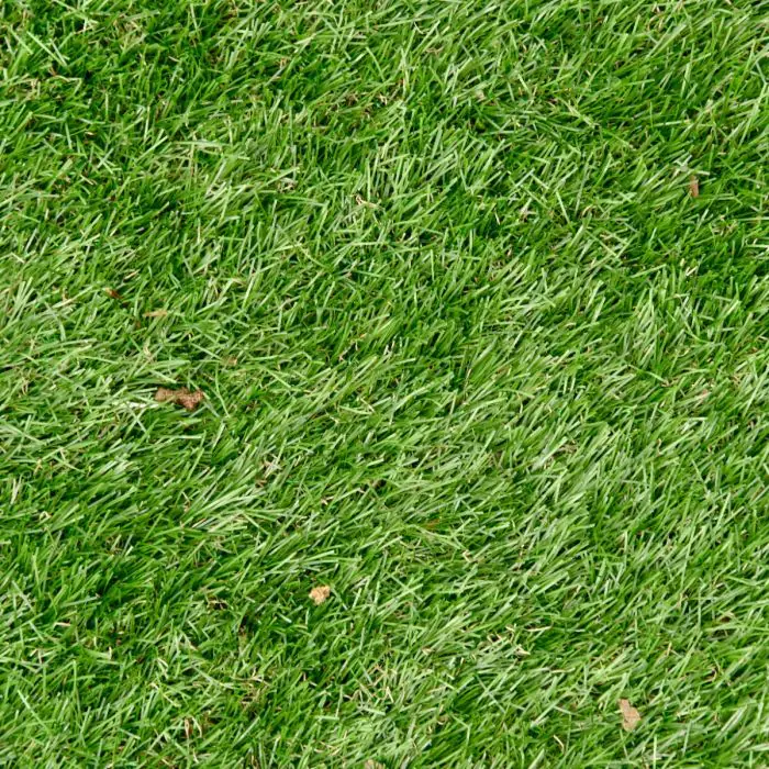 Artificial Grass - 2
