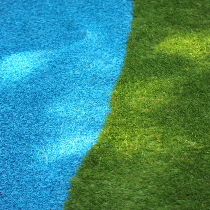 Artificial Grass - 6