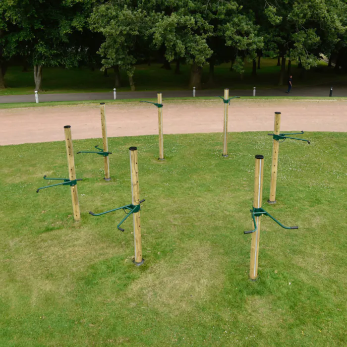 Fitness Tree
