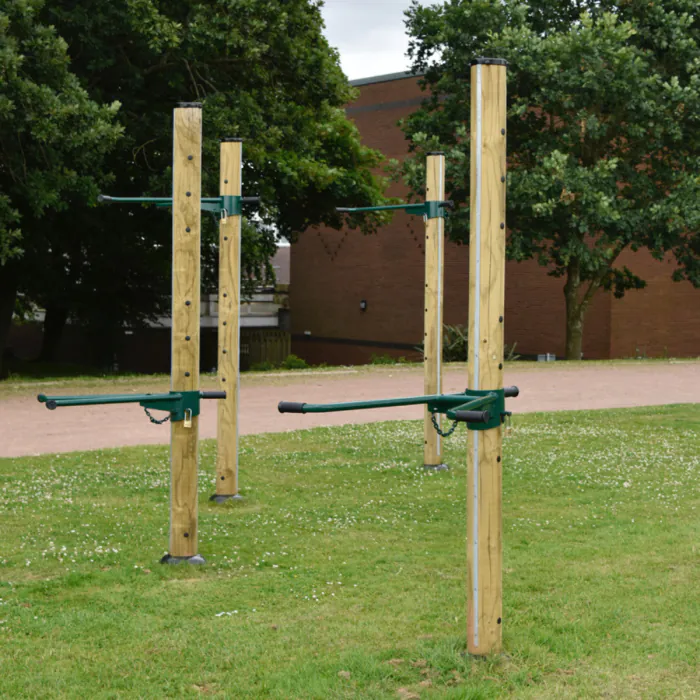 Fitness Tree - 2